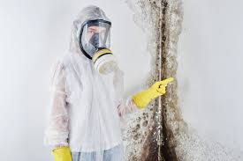 Montello, WI Mold Prevention & Removal  Company